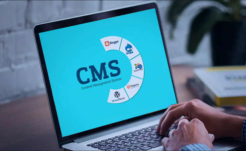 Best CMS Development Service In India